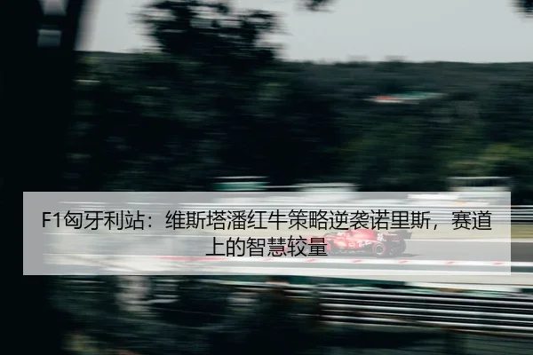 xiong-ya-li-zhan-wei-si-ta-pan-hong-niu-ce-lve-ni-xi-nuo-li-si-sai-dao-shang-de-zhi-hui-jiao-liang-2-660.jpg