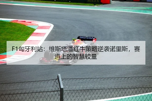 F1匈牙利站：维斯塔潘红牛策略逆袭诺里斯，赛道上的智慧较量