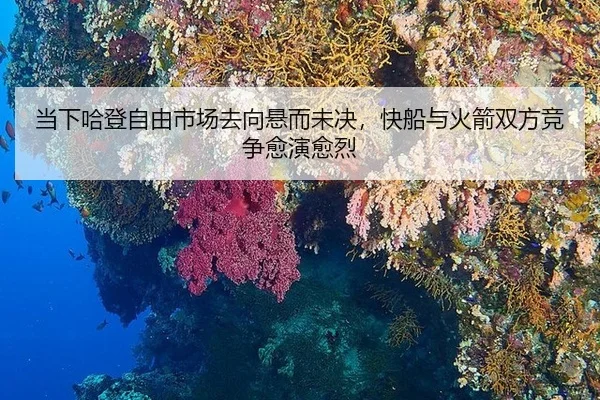dang-xia-ha-deng-zi-you-shi-chang-qu-xiang-xuan-er-wei-jue-kuai-chuan-yu-huo-jian-shuang-fang-jing-zheng-yu-yan-yu-lie-3-659.jpg